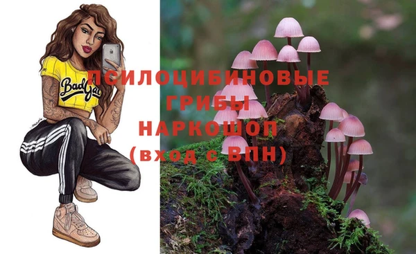 мескалин Няндома
