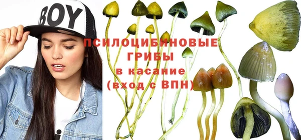 2c-b Иннополис