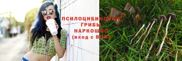 2c-b Иннополис