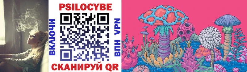 Псилоцибиновые грибы Cubensis  дарнет шоп  Суздаль 